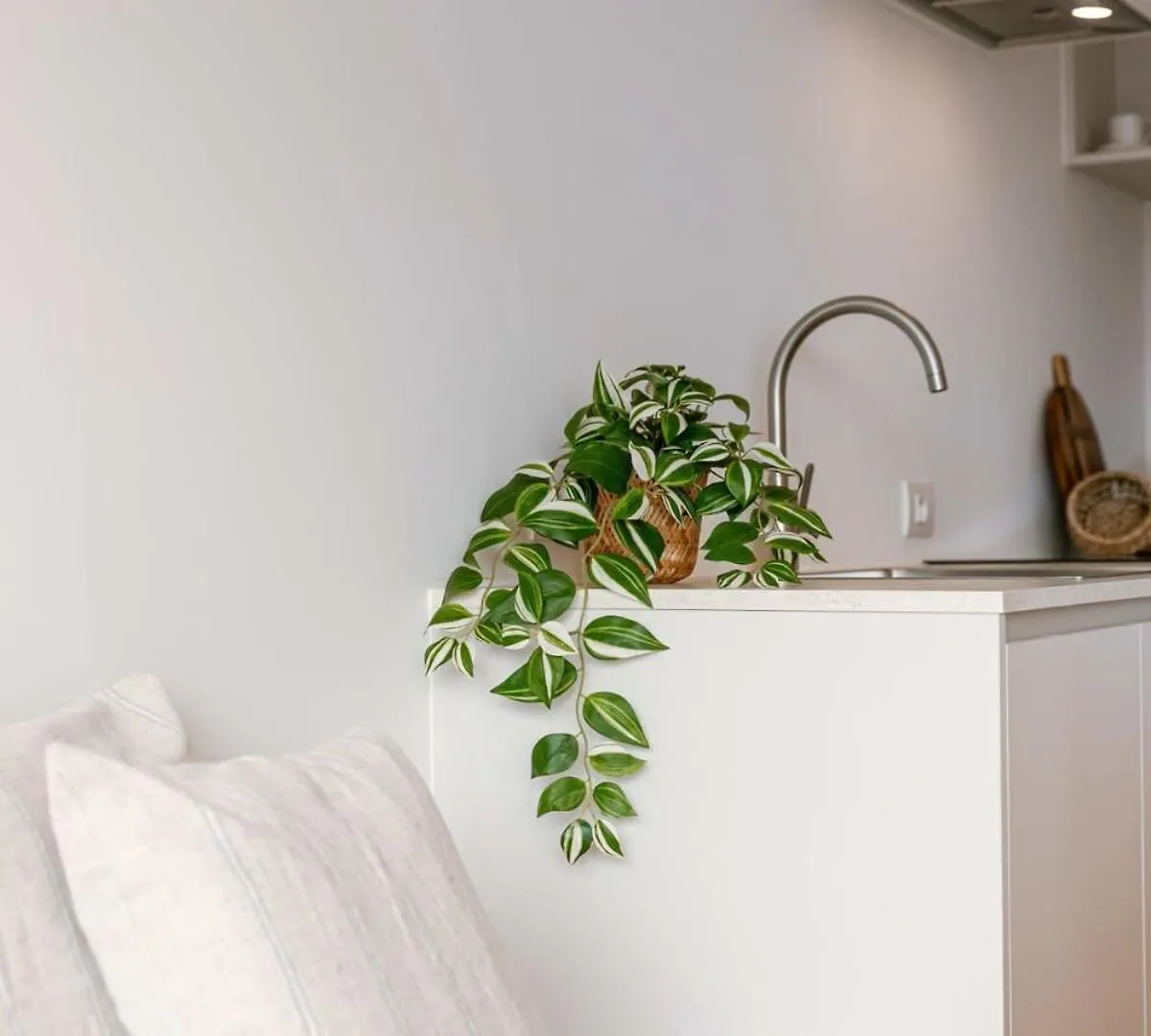 Huswell - Comfortable Apartment Near The Sea Knokke-Heist